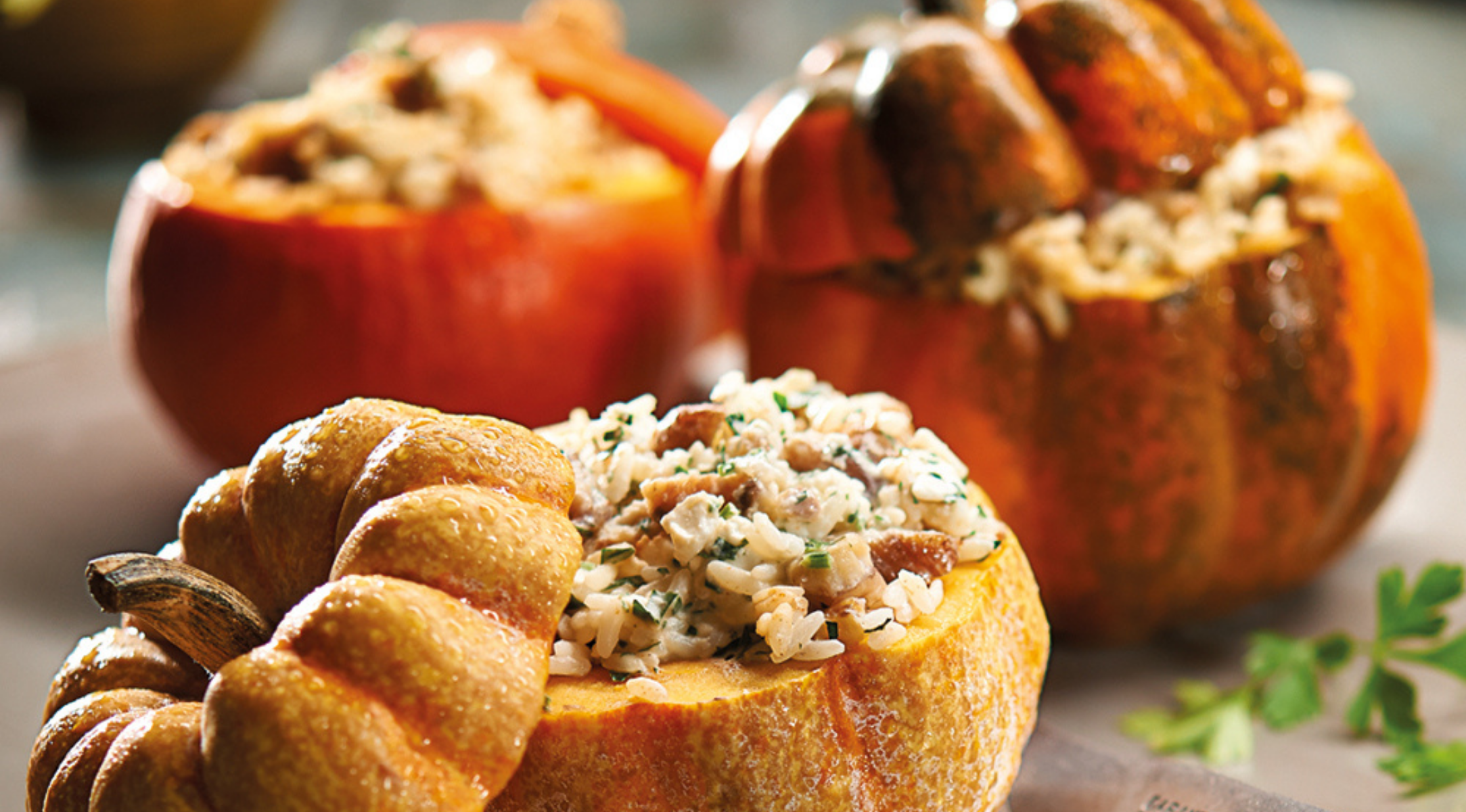 Gefüllte Minikürbisse