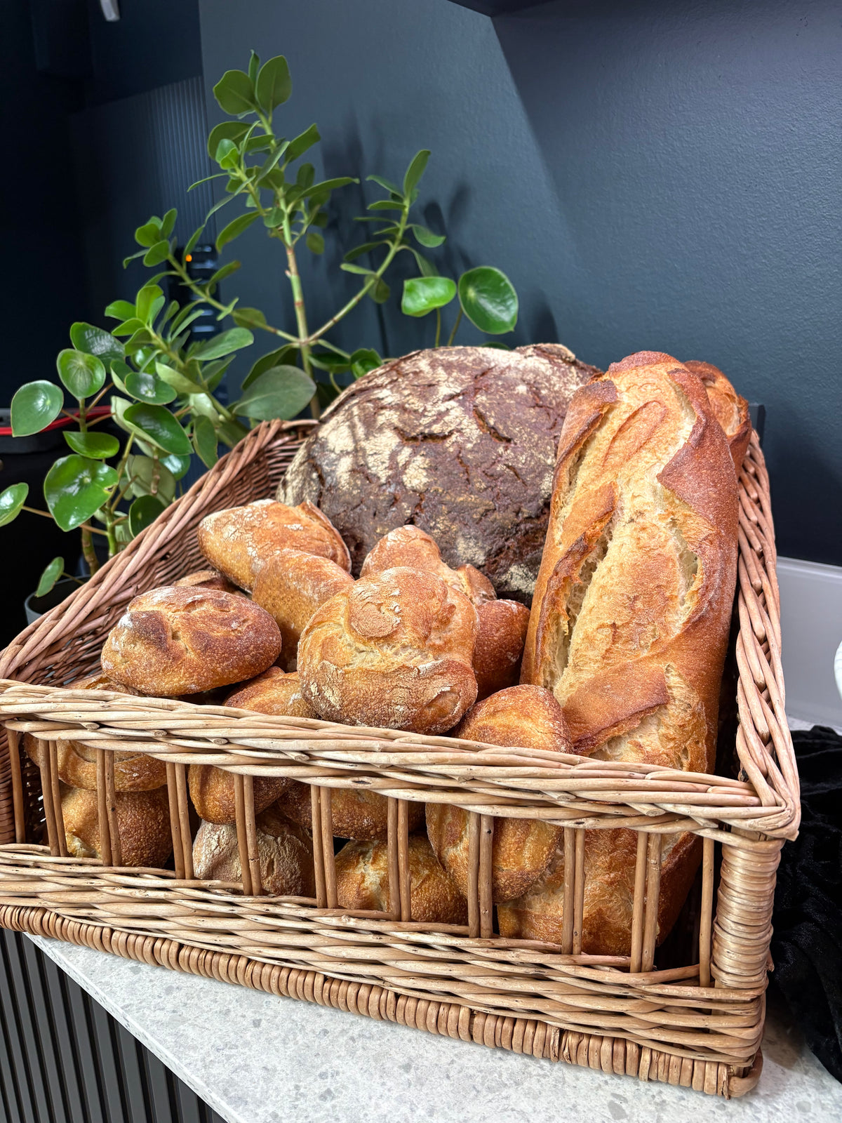 A wicker basket filled with assorted rustic breads, including baguettes and a round loaf, rests on a kitchen countertop near a green leafy plant. In the background, premium Fissler stainless steel cookware reflects the brand’s tradition of precision engineering and timeless German design.