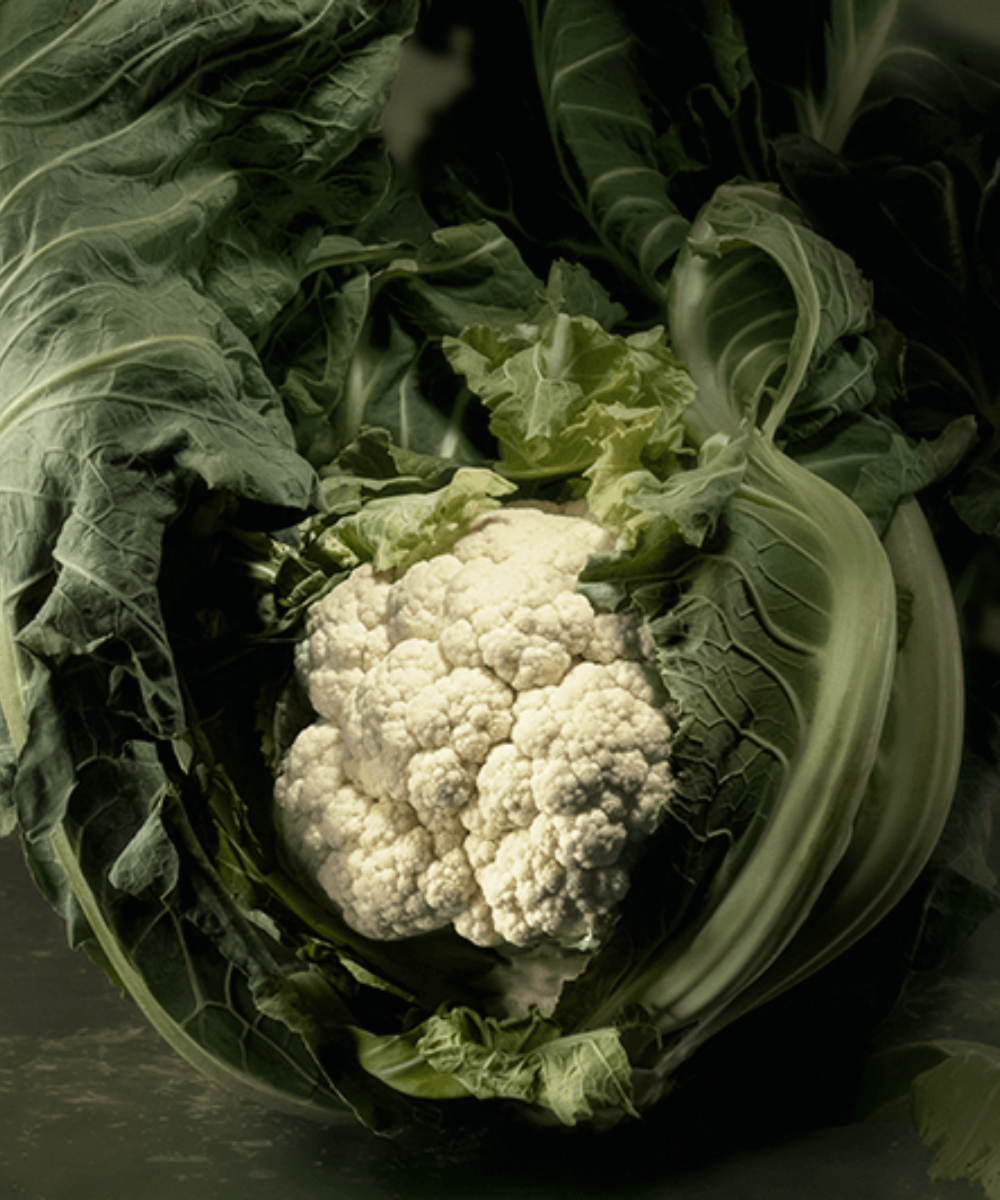 Close-up of a fresh cauliflower with dark green leaves, ready for precise preparation in Fissler's premium German cookware.