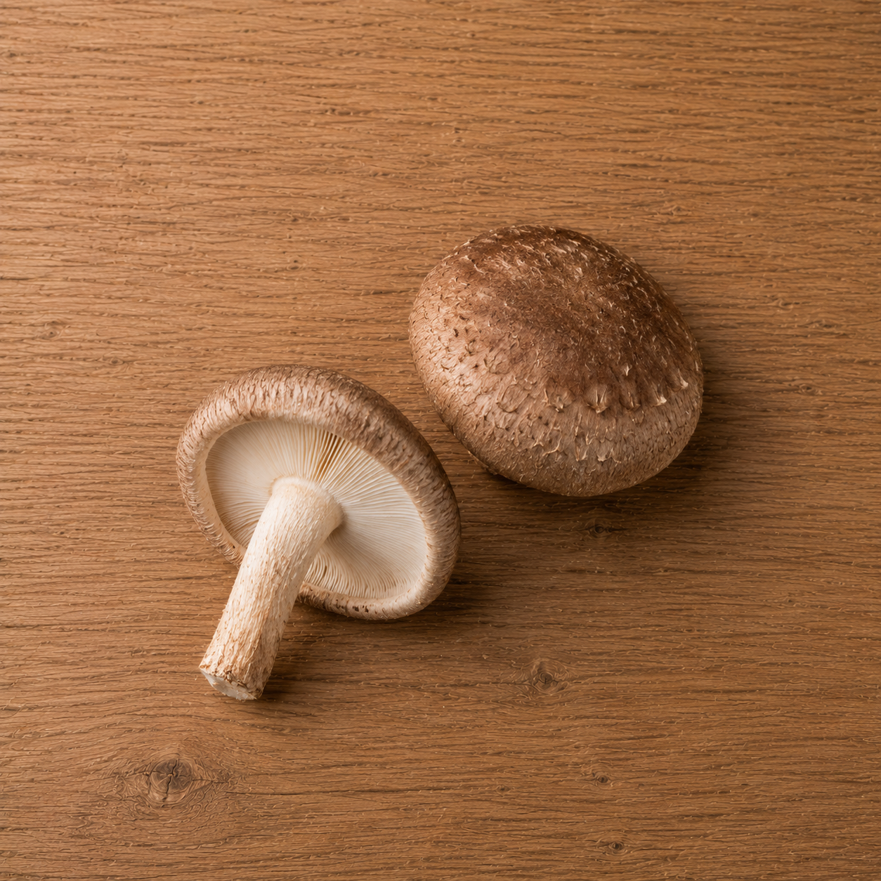 Zwei braune Shiitake-Pilze liegen auf einer Holzunterlage – der eine zeigt seine zart gefächerten Lamellen und seinen kräftigen Stiel, während der andere seine gewölbte Kappe präsentiert. Das in eleganter Schlichtheit aufgenommene Bild unterstreicht die Frische und die Qualität der Zutaten, die sich ideal für die Zubereitung raffinierter Gerichte mit dem präzisionsgefertigten Kochgeschirr von Fissler eignen.