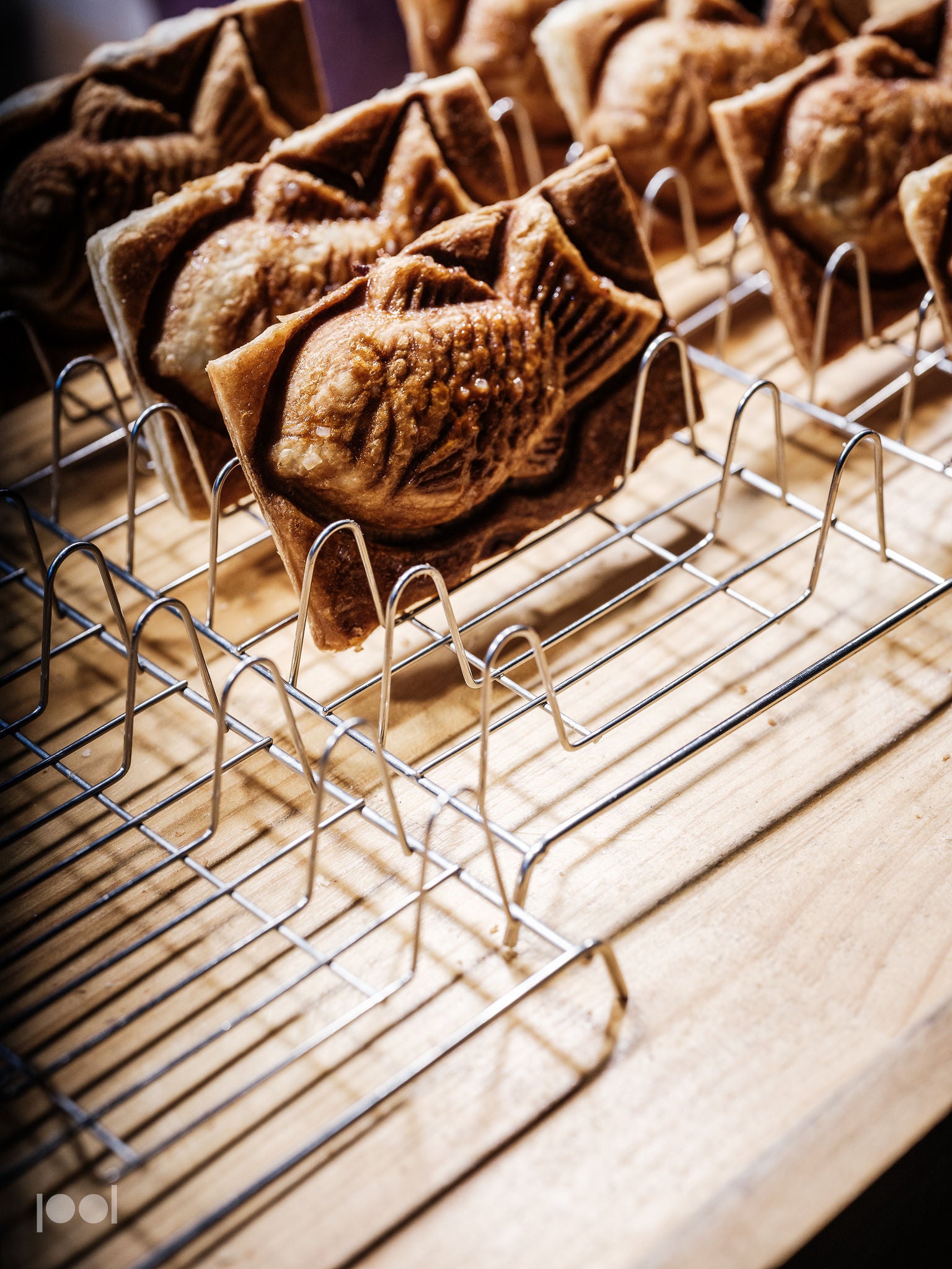 Finely crafted rectangular pastries adorned with fish motifs rest vertically on a wire rack atop a wooden surface, showcasing precision and artistry—just as Fissler’s German-engineered cookware ensures perfect baking results every time.